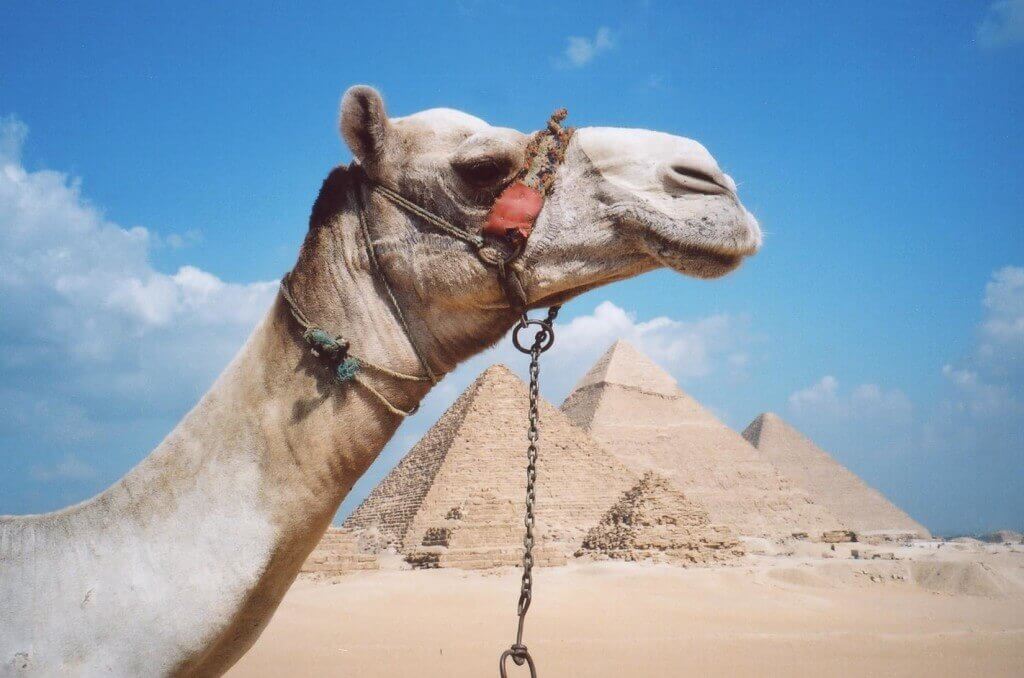 All Inclusive Ägypten: 7 Tage im guten 4-Sterne-Hotel für ...